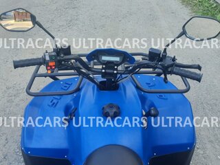 2026 Irbis ATV 200U, синий, 235196 рублей, вид 5