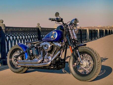 2008 Harley-Davidson Cross Bones, синий, 1150000 рублей, вид 3