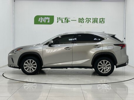 2021 Lexus NX 200 I Рестайлинг, серебристый, 2500000 рублей, вид 2
