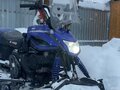 2020 Irbis Dingo, синий, 130000 рублей - вид 1