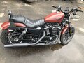 2017 Harley-Davidson Sportster 883, коричневый, 800000 рублей