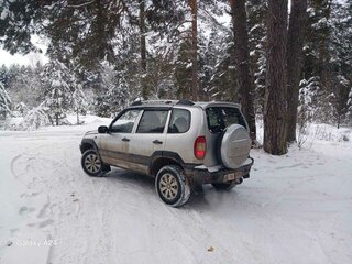 2003 Chevrolet Niva I, серебристый, 320000 рублей, вид 4