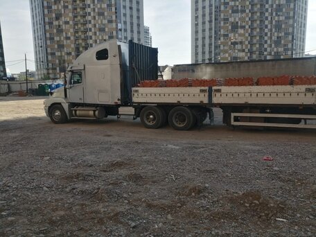 1999 Freightliner Century Class, серебристый, 4500000 рублей, вид 4