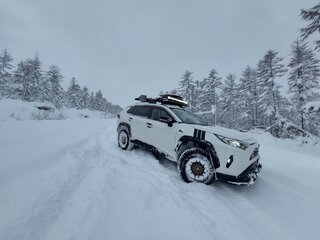 2019 Toyota RAV4 V (XA50), белый, 4200000 рублей, вид 3