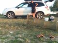 2013 Subaru Forester IV, белый - вид 3