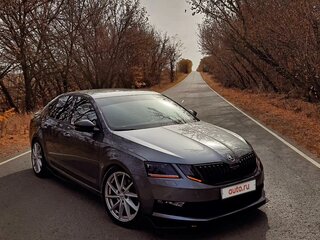 2017 Skoda Octavia III (A7) Рестайлинг, серый, 2449000 рублей, вид 1
