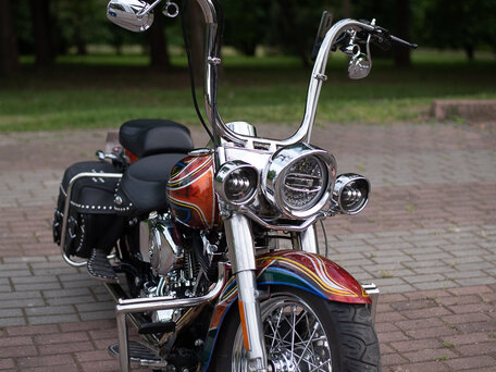 2004 Harley-Davidson Softail Custom, красный, 1181997 рублей, вид 3