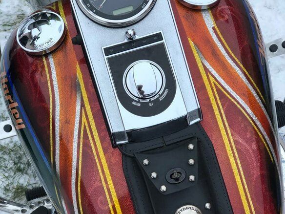 2004 Harley-Davidson Softail Custom, красный, 1188668 рублей - вид 34