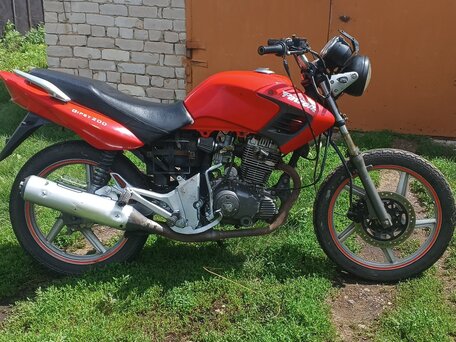 2018 Patron Gipsy, красный, 75000 рублей, вид 1
