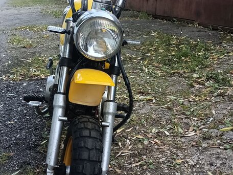2014 Skyteam Gorilla Monkey ST125, жёлтый, 90000 рублей, вид 2
