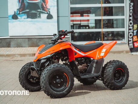 2025 CFMoto CFORCE 110, красный, 270000 рублей, вид 2
