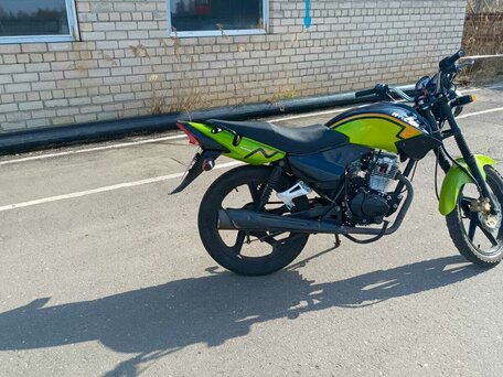 2020 Racer Tiger, зелёный, 59999 рублей, вид 2