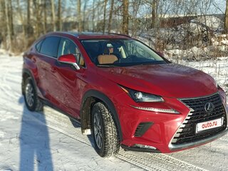 2021 Lexus NX 300 I Рестайлинг, красный, 3806000 рублей, вид 5