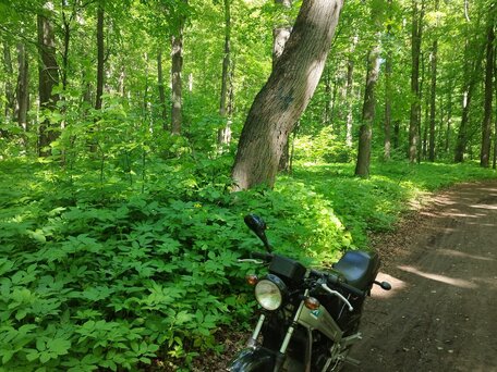 1994 Suzuki Wolf, чёрный, 80000 рублей, вид 1