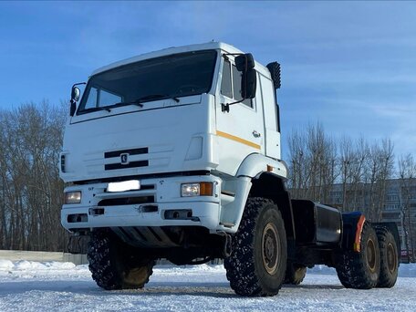 2009 КамАЗ 65225, белый, 1950000 рублей, вид 2