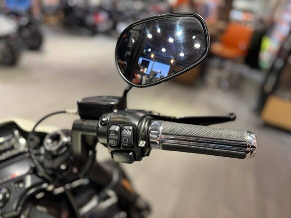 2019 Harley-Davidson FXDR 114, белый, 2099000 рублей - вид 10