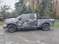 2014 Dodge RAM IV (DS/DJ), серый, 4900000 рублей - вид 7