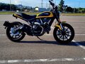 2017 Ducati Scrambler 800, жёлтый, 555213 рублей - вид 4