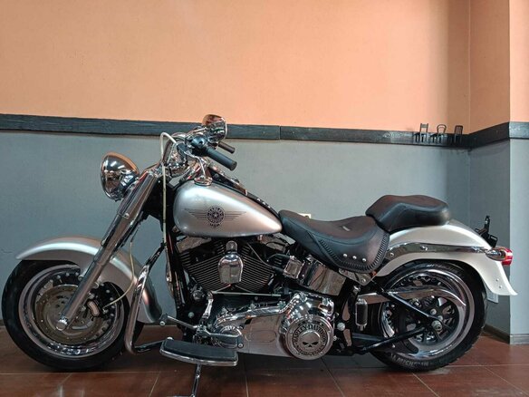 2009 Harley-Davidson Fat Boy, серый, 870000 рублей - вид 10