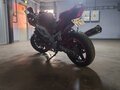 2004 Suzuki SV 650, пурпурный - вид 2