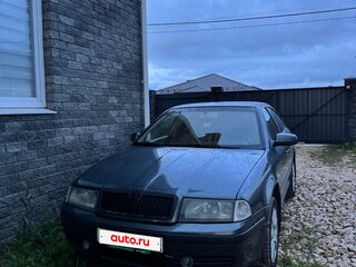 2005 Skoda Octavia I (A4) Рестайлинг, серый, 320000 рублей, вид 2