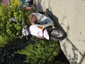 2009 Suzuki Lets 4, розовый, 85000 рублей - вид 5
