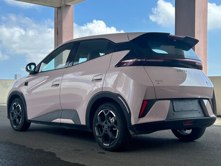 2025 BYD Seagull 38.88 kWh I Рестайлинг, розовый, 1825000 рублей, вид 3