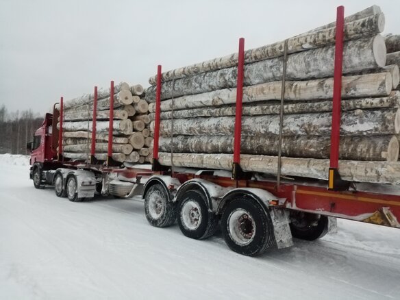 2008 Scania P-series, красный, 2300000 рублей - вид 12