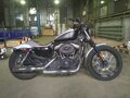 2008 Harley-Davidson Sportster 1200, серебристый