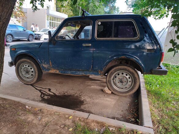 1999 Lada (ВАЗ) 2121 (4x4) I Рестайлинг, синий, 150000 рублей - вид 9