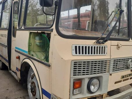 2007 ПАЗ 32053-20, бежевый, 75000 рублей, вид 3