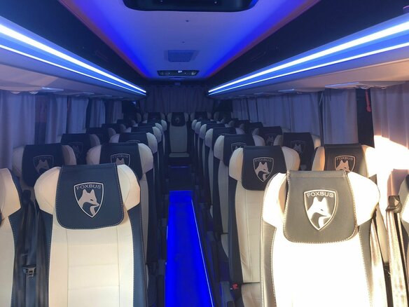 2020 Foxbus 62412, белый, 5700000 рублей - вид 7