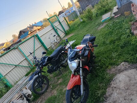 2014 Bashan BS200, красный, 85000 рублей, вид 4