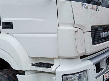 2018 КамАЗ 5490, белый, 2600000 рублей, вид 3
