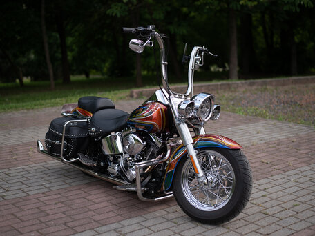 2004 Harley-Davidson Softail Custom, красный, 1181997 рублей, вид 2