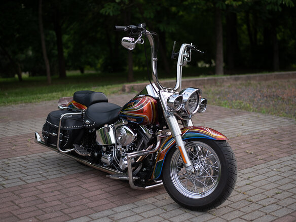 2004 Harley-Davidson Softail Custom, красный, 1188668 рублей - вид 2