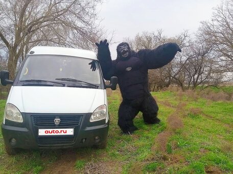 2013 ГАЗ ГАЗель (3302), белый, 500000 рублей, вид 2
