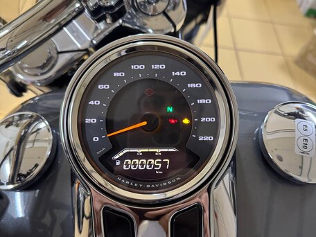 2021 Harley-Davidson Fat Boy, серый, 4000000 рублей, вид 5