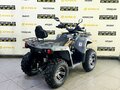 2025 Bison Hammer 250 PRO, серый - вид 5