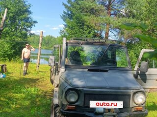 1993 ЛуАЗ 969М, серый, 500000 рублей, вид 2