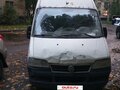 2010 Fiat Professional Ducato, белый, 600000 рублей - вид 6