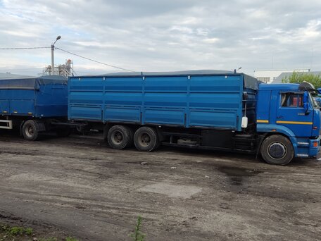 2012 КамАЗ 65117, синий, 7300000 рублей, вид 4