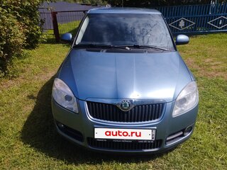2009 Skoda Fabia II, серый, 455000 рублей, вид 1