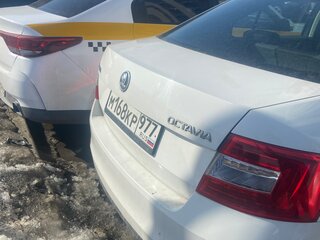 2014 Skoda Octavia III (A7), белый, 780000 рублей, вид 5