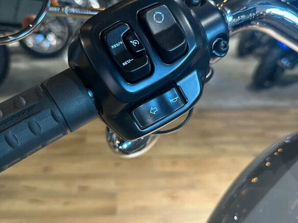 2025 Harley-Davidson Fat Boy, серебристый, 3850000 рублей - вид 11
