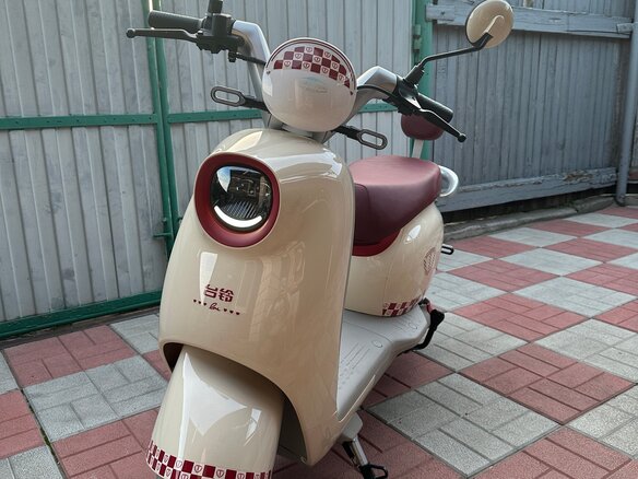 2024 Tailg TDR 161Z, бежевый, 125000 рублей
