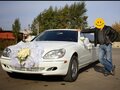 2002 Mercedes-Benz S-Класс 500 Long IV (W220), белый, 900000 рублей - вид 1