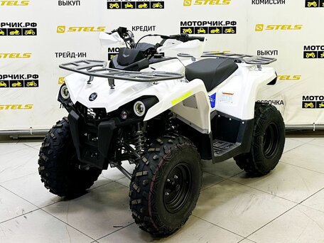 2025 Bison ATV200, белый, 219000 рублей, вид 1