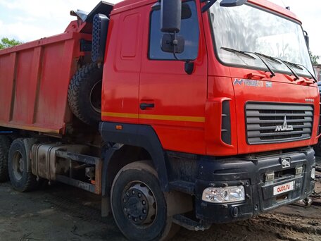 2021 МАЗ 6501, красный, 3000000 рублей, вид 3
