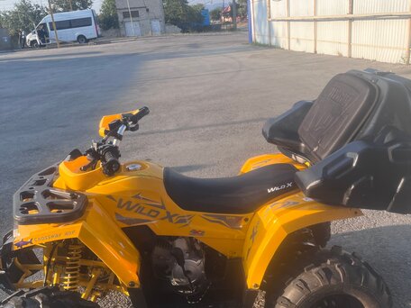 2024 Irbis ATV 125U, жёлтый, 115000 рублей, вид 2